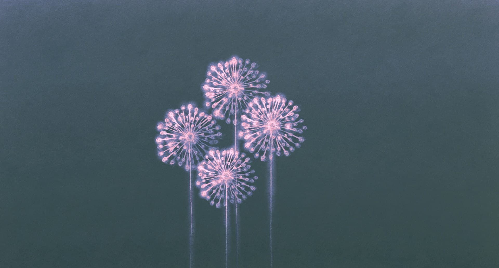 Image of Developmental Editor Services Image of Developmental Editor Services